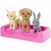 Комплект за промяна на цвета Барби с куче и коте за момиче  101713 5