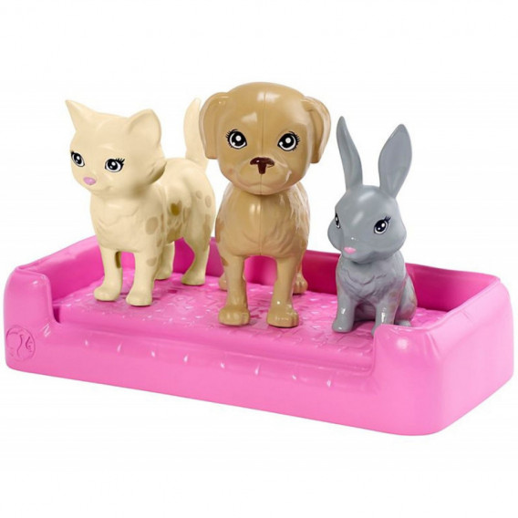 Комплект за промяна на цвета Барби с куче и коте за момиче  101713 5