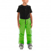 Панталон за ски и сноуборд за момче, зелен Diel 10927 