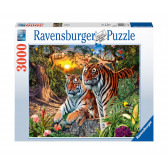 Пъзел Тигри 2D от картон Ravensburger 11017 