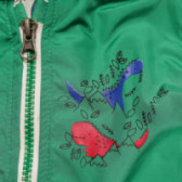 Пролетно яке с качулка за момче с щампа на динозаври, зелено Midimod 112515 2