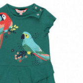 Комплект рокличка с гащички за бебе за момиче зелен Boboli 112756 4