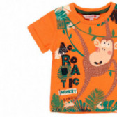 Памучна тениска с щампа за бебе за момче оранжева Boboli 112827 3