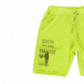 Памучни къси панталони за момче зелени Boboli 112969 3