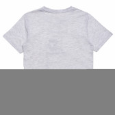 Памучна тениска със забавен принт за момче сива Acar 114410 4
