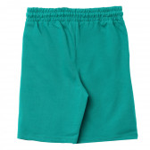 Къс памучен панталон с принт за момче зелен Acar 114466 4