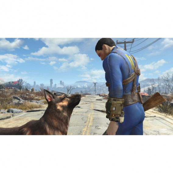 Fallout 4 ps4  11817 4