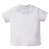 Памучна блуза за бебе Chicco 118245 4