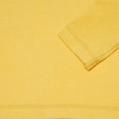Памучна блуза за момче Birba 118502 3