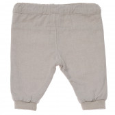Памучен панталон за бебе Birba 120419 2