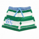 Памучни къси спортни панталони за момче зелени Benetton 130866 