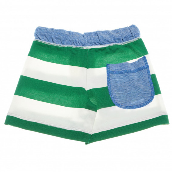 Памучни къси спортни панталони за момче зелени Benetton 130867 2