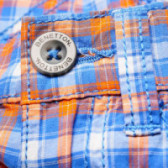 Памучни къси панталони за момче сини Benetton 131926 6
