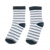 Комплект от три чифта чорапи за момче, сини Benetton 137114 2