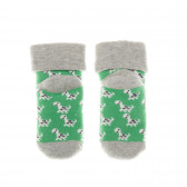 Комплект чорапи с прин на динозавър за момче, зелени Benetton 137147 3
