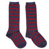  3/4 чорапи за момче Chicco 148442 