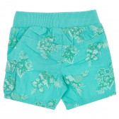 Памучни къси панталони за бебе зелени Benetton 157345 7