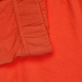 Памучен панталон оранжев за момиче Fashion Girl 157729 3