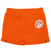 Къси панталони за момче оранжеви Original Marines 158357 4