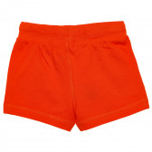 Къси панталони за момче оранжев Original Marines 159358 4