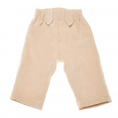 Памучни къси панталони от кадифе оранжеви Aletta 161093 
