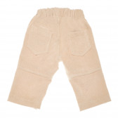 Памучни къси панталони от кадифе оранжеви Aletta 161094 2
