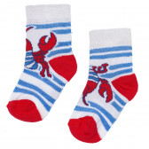 Чорапи за бебе момче, многоцветни Chicco 165500 