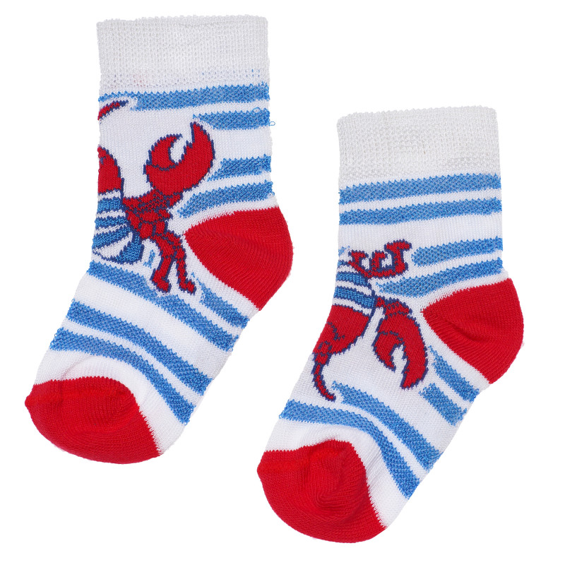 Чорапи за бебе момче, многоцветни  165500