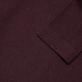 Памучна блуза с дълъг ръкав кафява за момче Benetton 168073 3