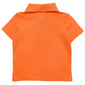 Памучна блуза за бебе за момче оранжева Original Marines 168886 4