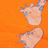 Тениска за бебе за момче оранжева Benetton 169875 3