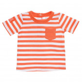 Памучна блуза с къс ръкав за бебе за момче оранжева Tape a l'oeil 170778 