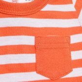 Памучна блуза с къс ръкав за бебе за момче оранжева Tape a l'oeil 170779 2
