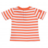 Памучна блуза с къс ръкав за бебе за момче оранжева Tape a l'oeil 170781 4