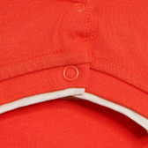 Памучна блуза за бебе за момче оранжева Tape a l'oeil 170964 3
