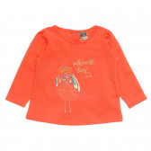 Памучна рокля за бебе за момиче оранжева Tape a l'oeil 171006 