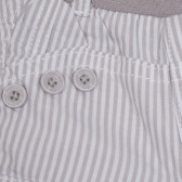 Памучен панталон за бебе за момче, сив Tape a l'oeil 174259 4
