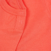 Памучна тениска за бебе момче оранжева Tape a l'oeil 174771 4