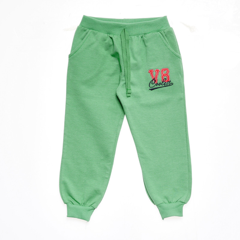 Спортен панталон с малка щампа за момче, зелен  176084