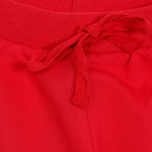 Спортен панталон с надпис 64 за момче, червен Acar 176293 2