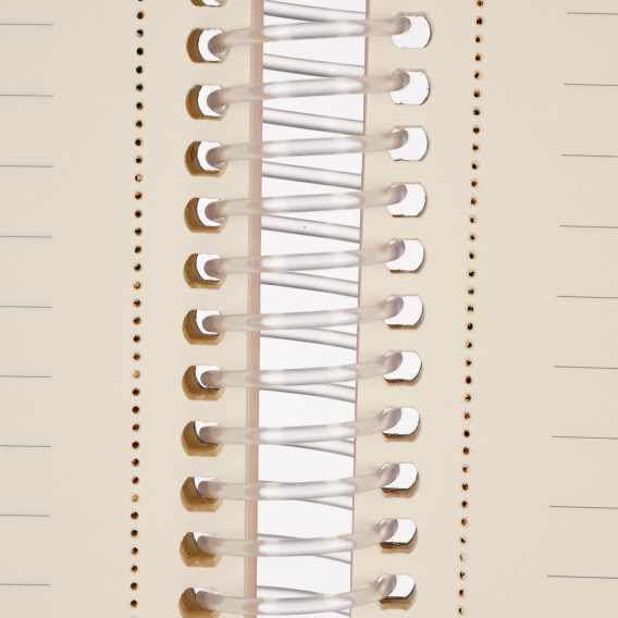 Тетрадка Major Notes с разделителен ластик, 19 X 26 см, 120 листа, широки редове, беж Gipta 177325 4