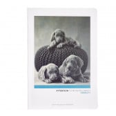 Тетрадка Attention кучета, А 4, 60 листа, широки редове, многоцветен Gipta 177488 