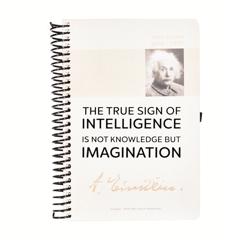 Тетрадка TrueBook Einstein, 17 X 24 см, 120 листа, широки редове, кафяв  177576