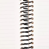 Тетрадка TrueBook Camus, 17 X 24 см, 120 листа, широки редове, кафяв Gipta 177583 4