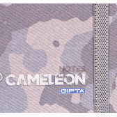 Тетрадка Cameleon с оганичителен ластик, 13 X 21 см, 120 листа, широки редове, сив Gipta 177691 2