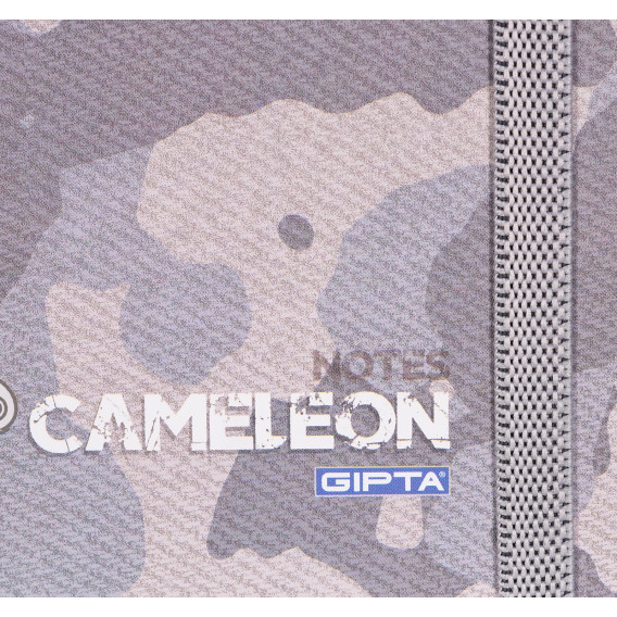 Тетрадка Cameleon с оганичителен ластик, 13 X 21 см, 120 листа, широки редове, сив Gipta 177691 2