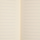 Тетрадка Adamenia с разделителен ластик син акцент, 19 X 26 см, 120 листа, широки редове, черен Gipta 178244 4