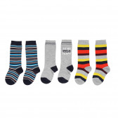 Комплект от 3 броя 3/4 чорапи за момче, многоцветни Chicco 180552 