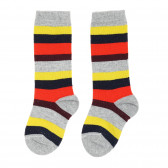 Комплект от 3 броя 3/4 чорапи за момче, многоцветни Chicco 180553 2