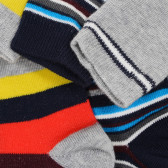 Комплект от 3 броя 3/4 чорапи за момче, многоцветни Chicco 180556 5